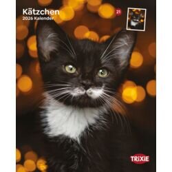 Kalender Kätzchen