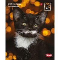 Kalender Kätzchen