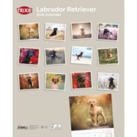 Kalender Labrador Retriever