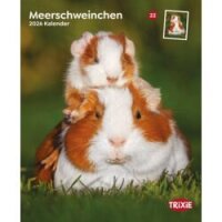 Kalender Meerschweinchen