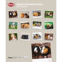 Kalender Meerschweinchen