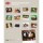 Kalender Meerschweinchen