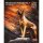 Kalender Rhodesian Ridgebacks