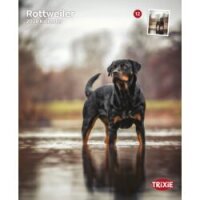 Kalender Rottweiler