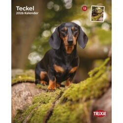 Kalender Teckel