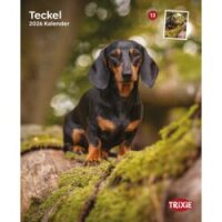 Kalender Teckel