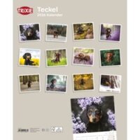 Kalender Teckel