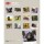 Kalender Teckel