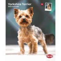 Kalender Yorkshire Terrier