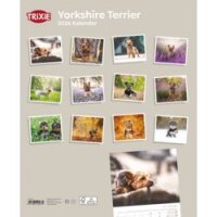 Kalender Yorkshire Terrier