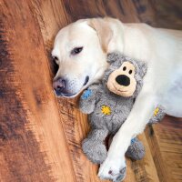 KONG Wild Knots Bears M/L, div. Farben