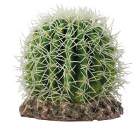 Hobby Kaktus "Sonora" M 15x15x13cm