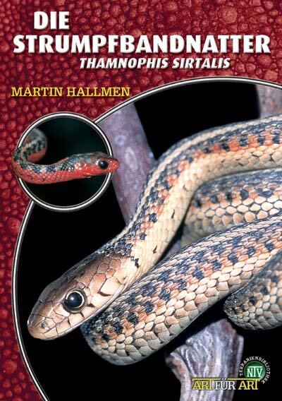 NTV Art für Art Die Strumpfbandnatter (Thamnophis sirtalis)