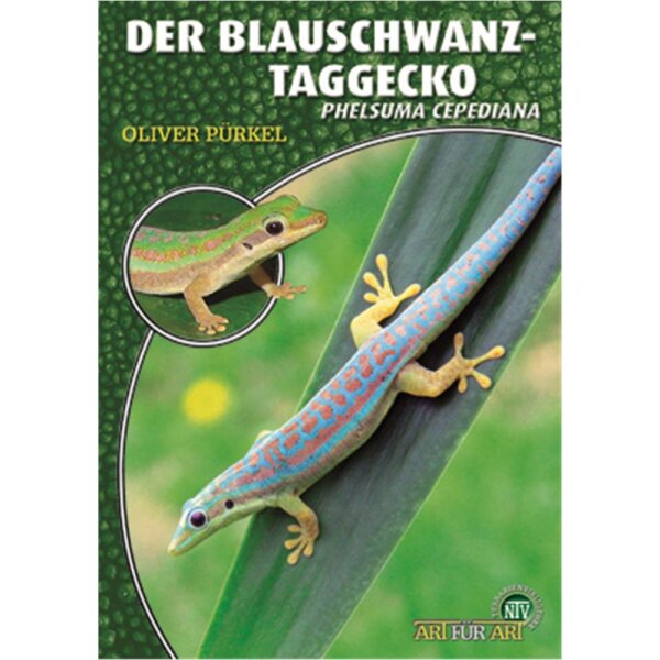 NTV Art für Art der Blauschwanz Taggecko (Phelsuma cepediana)