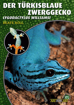 NTV Art für Art Der Türkisblaue Zwerggecko (Lygodactylus williamsi)