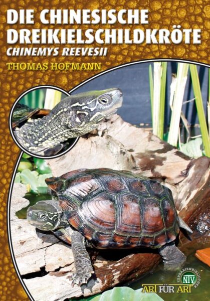 NTV Art für Art Die Chinesische Dreikielschildkröte (Chinemys reevesii)