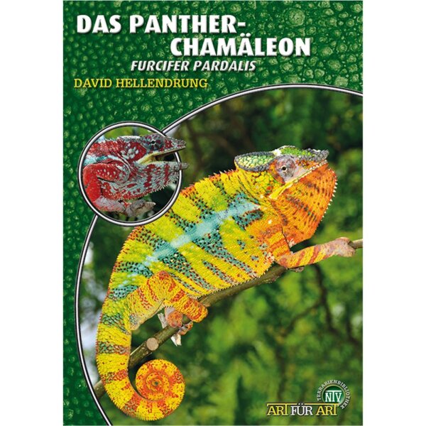 NTV Art für Art Das Pantherchamäleon (furcifer pardalis)