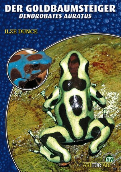 NTV Art für Art Der Goldbaumsteiger (Dendrobates auratus)