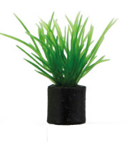 Hobby Eleocharis mini 1,5x1,5x3cm