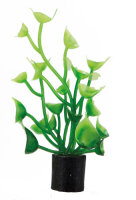 Hobby Cardamine mini 1,5x1,5x5cm