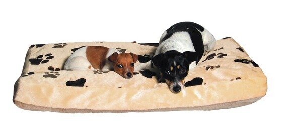 Trixie Kissen "joey", 70×45 cm, beige mit Pfoten