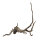 Hobby Fingerwood S dark (20- 30cm)