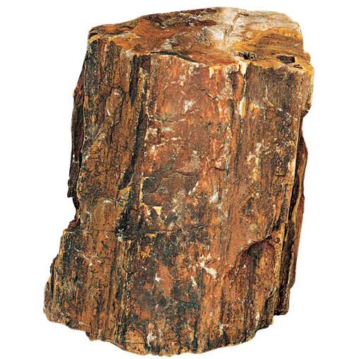 Hobby Steinholz M (1,0- 2,2kg) 1 Stück