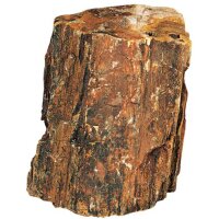 Hobby Steinholz M (1,0- 2,2kg) 1 Stück