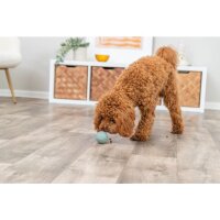 Labyrinth-Snacky, Naturgummi, ø 9 cm, diverse Farben