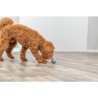 Labyrinth-Snacky, Naturgummi, ø 9 cm, diverse Farben