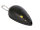 Trixie Laserpointer "Catch the Light" div. Farben