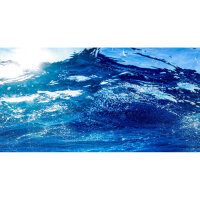Hobby Fotorückwand "Ocean" selbstklebend...