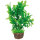 Hobby Flora Stone 3 (4x13cm)