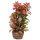 Hobby Flora Stone 4 (4x13cm)