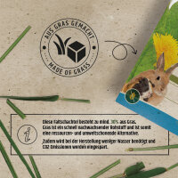 JR FARM Grainless Health Vitamin- Balls Spinat 150g