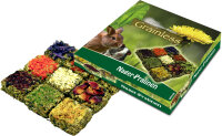 JR FARM Grainless Nager- Pralinen 125g (1 Stück)
