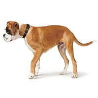 Hunter Halsband Vario Basic extra breit, 22-35/S Nylon/...