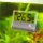 JBL Aquarium Thermometer DigiScan