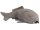 Superfish Deco- Filter Karpfen