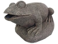 Superfish Deco- Filter Frosch