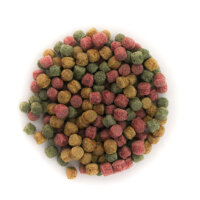Alltech Coppens Allound Mix rot/gelb/grün...