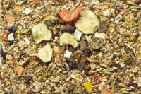JR FARM Food Rennmaus adult 500g