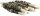 Trixie Denta Fun Fish Chewing Rolls,12 cm, 10 St./75g