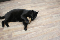 JR FARM Bavarian Catnip Katzenminze Nature- Ball