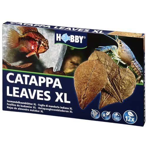 Hobby Catappa Leaves XL 12 Stück
