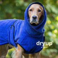 DRYUP cape blueberry, L, 65 cm