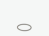 EHEIM Dichtungsring für 2080, 2180, 2226-2328,...
