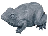 Oase Wasserspeier Frosch