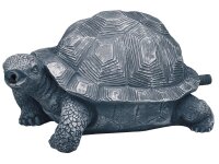 Oase Wasserspeier Schildkröte