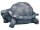 Oase Wasserspeier Schildkröte